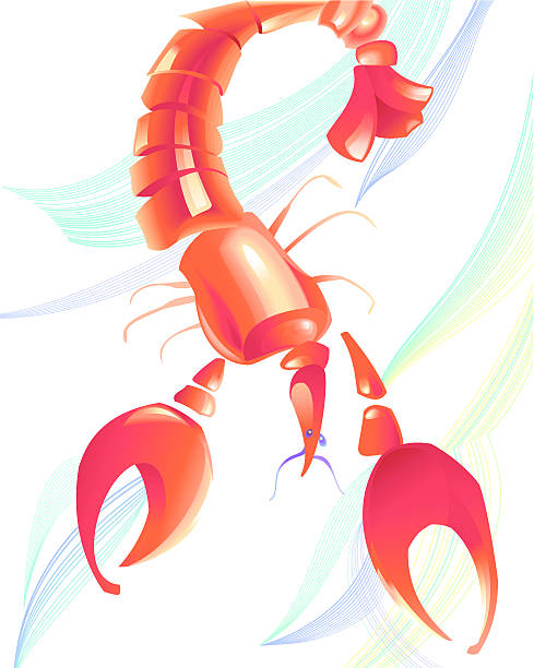 Red Crawfish Illustrations, Royalty-Free Vector Graphics ...