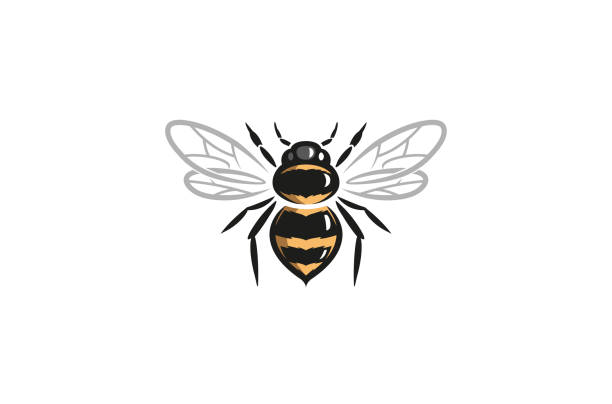 Creative Bee Wasp Lines Logo Creative Bee Wasp Lines Logo Vector Symbol Design Illustration bee drawings stock illustrations