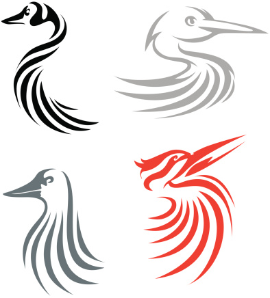 Creative Bird Illustrations