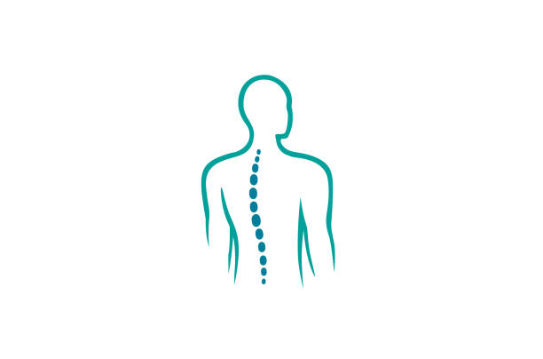 stockillustraties, clipart, cartoons en iconen met creative chiropractie back ruggengraat logo ontwerp vector symbool illustratie - fysiotherapie