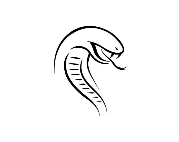 Creative Serpent Cobra Head Logo Design Creative Serpent Cobra Head Logo Design Vector Symbol Illustration snake head stock illustrations