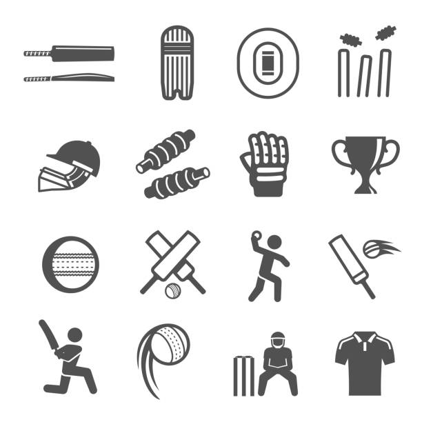 illustrazioni stock, clip art, cartoni animati e icone di tendenza di cricket, palla, mazza audace silhouette nera e icone di linea impostate isolate su bianco. - pioli