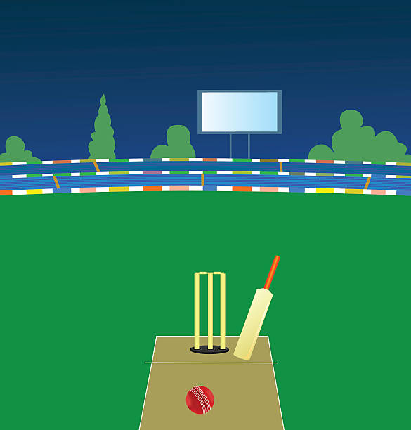 illustrazioni stock, clip art, cartoni animati e icone di tendenza di stadio di cricket - pioli