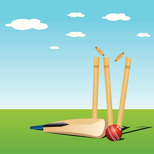 illustrazioni stock, clip art, cartoni animati e icone di tendenza di cricket - pioli