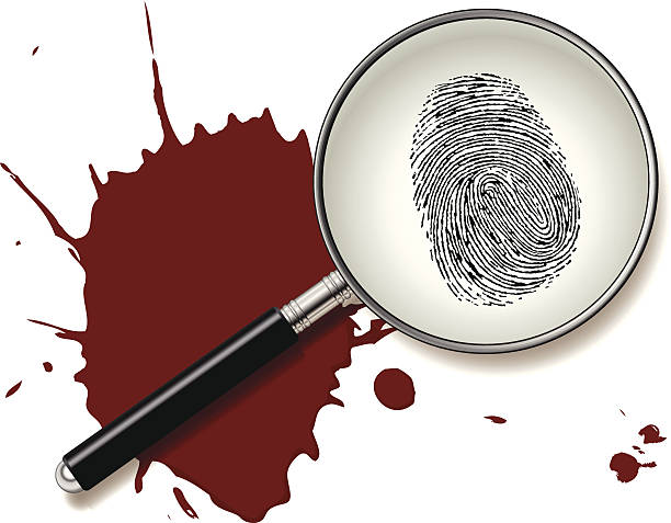 Crime Scene A fingerprint under a magnifying glass above a splatter of blood. Files included – jpg, ai (version 8 and CS3), svg, and eps (version 8) crime scene stock illustrations
