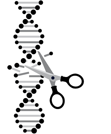 Crispr - gene editing