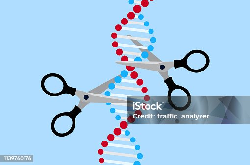 istock Crispr - gene editing 1139760176