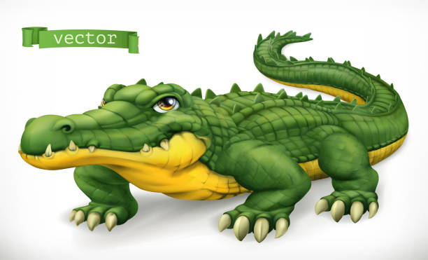 bildbanksillustrationer, clip art samt tecknat material och ikoner med krokodil, alligator. rolig karaktär. animal 3d vektor ikon - aligator