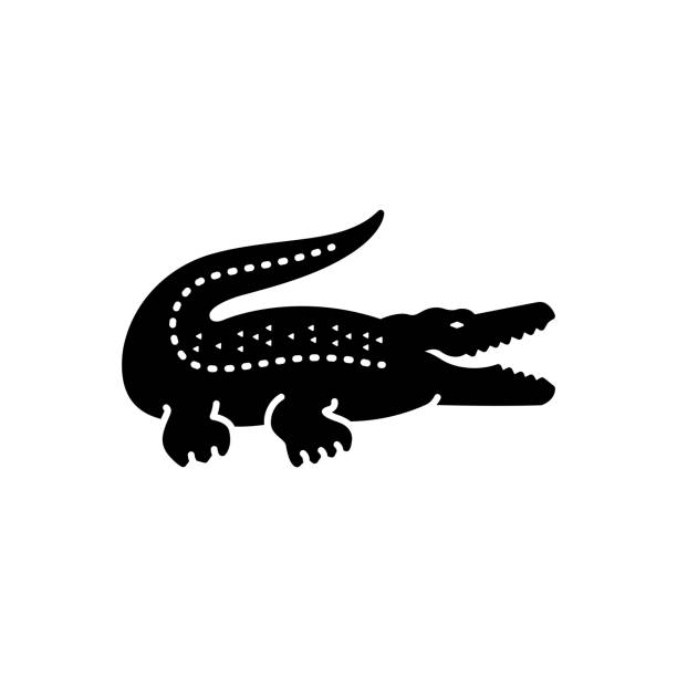 Crocodile crocodylus Icon for crocodile, crocodylus, crocodilus, alligator, reptile, predator, green, dangerous, carnivore, cayman alligator stock illustrations