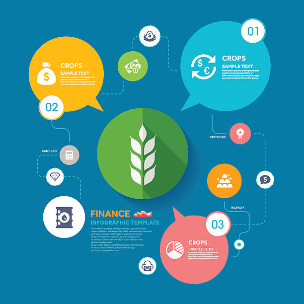 ilustrações de stock, clip art, desenhos animados e ícones de colheita e finanças infográfico modelo - food infographics nutrition