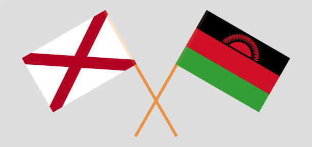 ilustraciones, imágenes clip art, dibujos animados e iconos de stock de banderas cruzadas del estado de alabama y malawi. colores oficiales. proporción correcta - alabama football