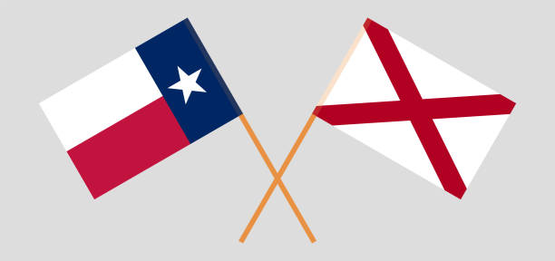 ilustraciones, imágenes clip art, dibujos animados e iconos de stock de banderas cruzadas del estado de texas y del estado de alabama. colores oficiales. proporción correcta - alabama football