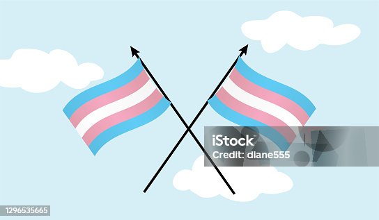 istock Crossed Transgender Flags On A Blue Sky 1296535665