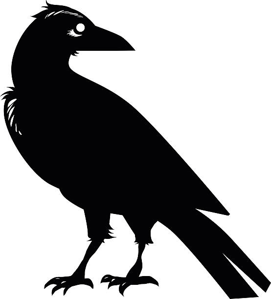 Crow vector art illustration