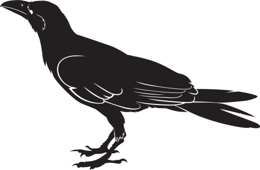 crow vector