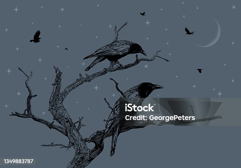 istock Crows perching on a dead tree at night 1349883787