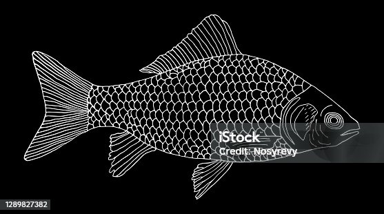 https tr vector me browse 152346 animals black outline white fish animal sea blowfish