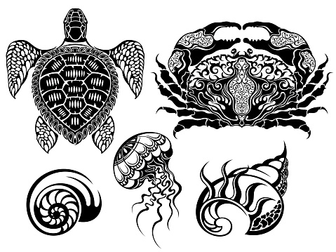 Crustacean Vector illustrations