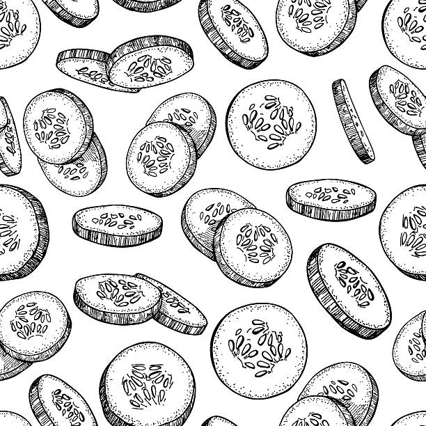 Cucumber hand drawn vector seamless pattern. Isolated cucumber sliced pieces. Cucumber hand drawn vector seamless pattern. Vegetable engraved style illustration. Isolated cucumber sliced pieces. Detailed vegetarian food drawing background. Farm market product. cucumber stock illustrations