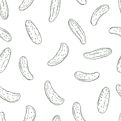 Hand drawn cucumbers on white background. Vector  seamless pattern