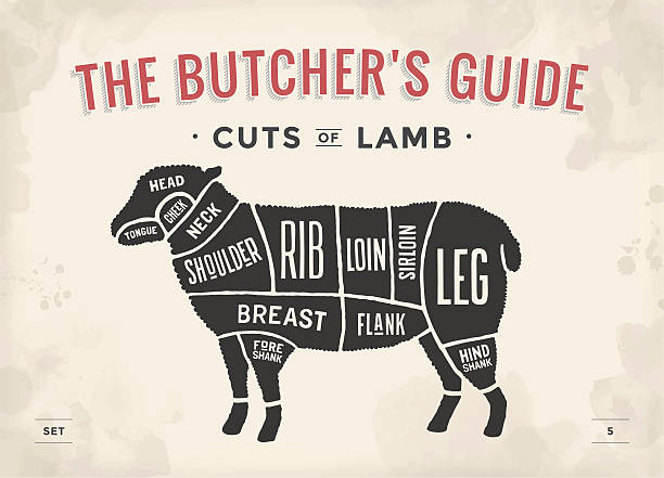 Cut of beef set. Poster Butcher diagram and scheme - Cut of beef set. Poster Butcher diagram and scheme - Lamb. Vintage typographic hand-drawn. Vector illustration animal neck stock illustrations