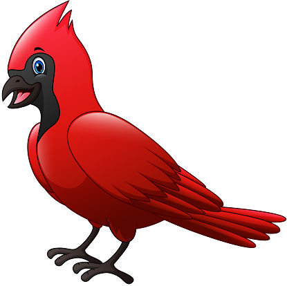 ✓ Imagen de Dibujos animados del pájaro cardenal Fotografía de Stock