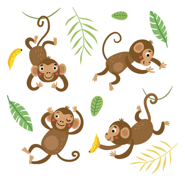 ilustrações, clipart, desenhos animados e ícones de macacos bonitos e engraçados. conjunto de caracteres vetoriais. - macaco