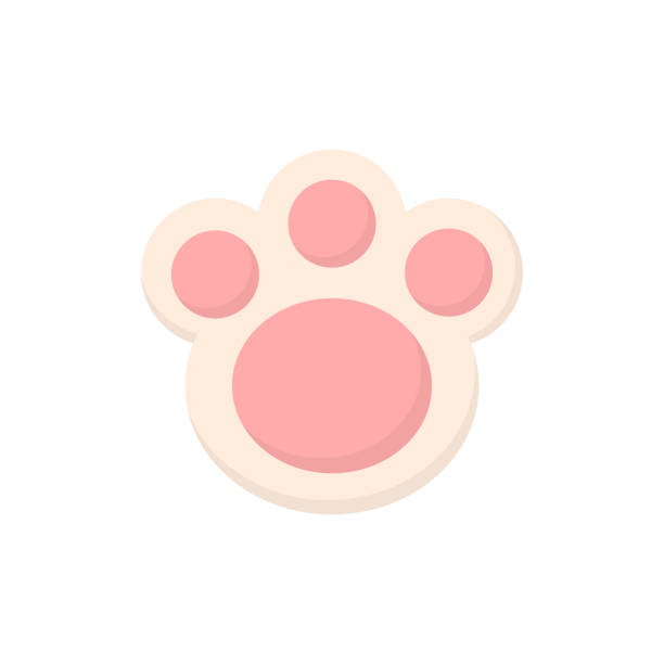 Cute animal paw Easter bunny paw cookie vector illustration. Cute pink animal paw icon, isolated. rabbit stock illustrations