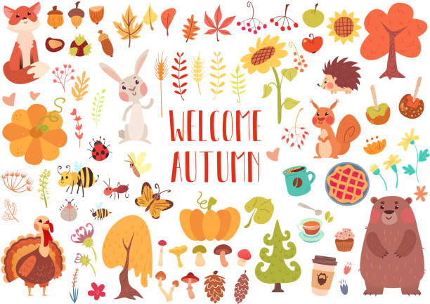 Cute animals and plants set Big set of cute autumn animals, birds, insects, plants and sweets. Fall season stickers and clip-art. Thanksgiving design on white background. turkey cupcake stock illustrations