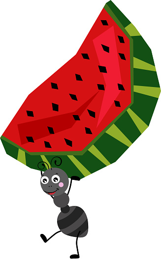 Cute ant carrying a funny slice of watermelon