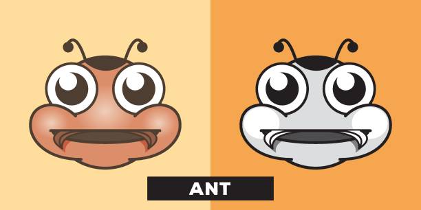 Cute Ant Vector Illustration Ant, Smiling, Animal, Insect, Paintings ant clipart pictures stock illustrations