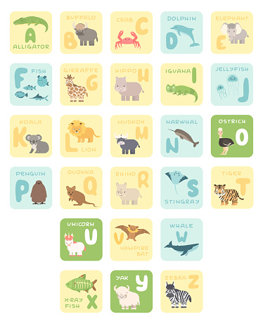 Cute A-Z alphabet cards with cartoon animals. Vector zoo illustrations. Alligator, buffalo, crab, dolphin, fish, giraffe, hippo, koala, lion, Muskox, ostrich, penguin, rhino, stingray, tiger, whale