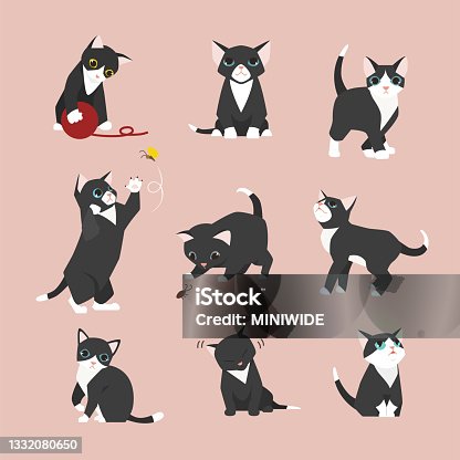 istock Cute baby black cats. 1332080650