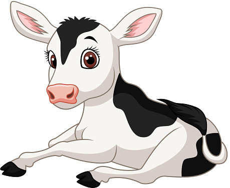 cute-baby -cow-isolated-on-white-background-vector-id510868934?b=1&k=6&m=510868934&s=170667a&w=0&h=rdDHujGCQqKdVZmivSKqSvwkb0yMIylEt2xsgh8iP3s=