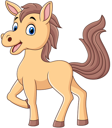 Cute baby pony cartoon isolated on white background