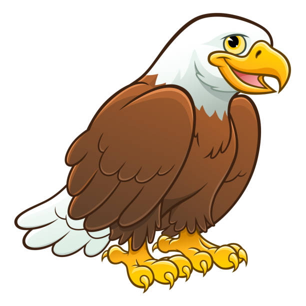 stockillustraties, clipart, cartoons en iconen met schattig bald eagle - eagle cartoon