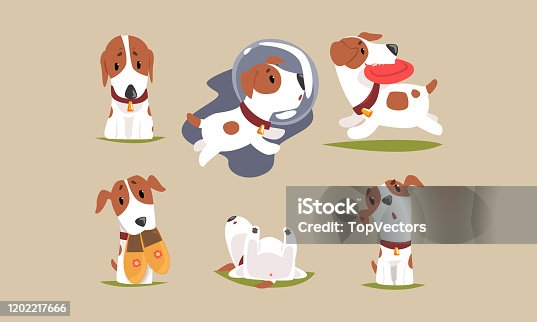 istock Cute Beagle Dog Cartoon Character Collection, Funny Purebred Pet Animal in Different Situations Vector Illustration 1202217666