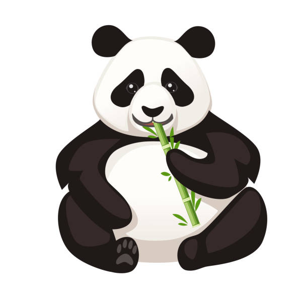 bildbanksillustrationer, clip art samt tecknat material och ikoner med söt stor panda sitta på golvet håller bambu och äta filial tecknad djur design platt vektor illustration - panda