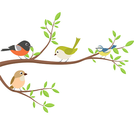 Cute birds with tree branch