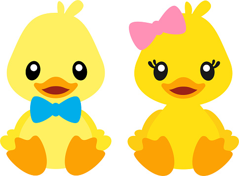 Cute Boy and Girl Duck Vector with Transparent Background
