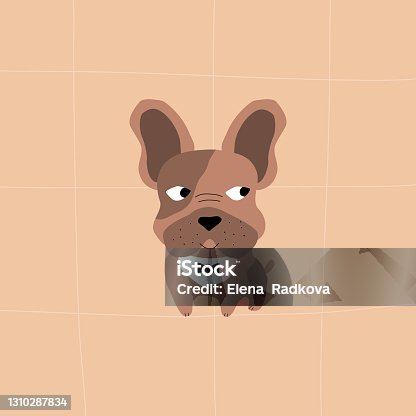 istock Cute brown french bulldog with bow tie. Funny dogs vector illustration. 1310287834