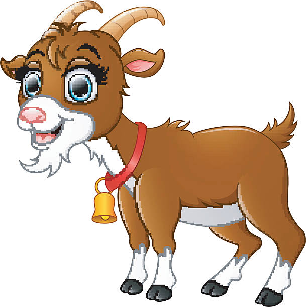 Royalty Free Dairy Goat Clip Art, Vector Images & Illustrations - iStock