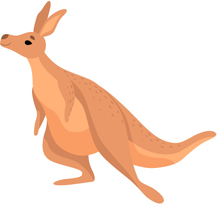 Cute Brown Kangaroo, Wallaby Australian Animal Character Vector Illustration