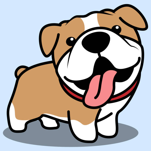 stockillustraties, clipart, cartoons en iconen met leuke buldog die beeldverhaal, vectorillustratie glimlacht - bulldog