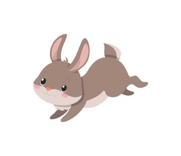 bildbanksillustrationer, clip art samt tecknat material och ikoner med cute bunny jump - bunny jumping
