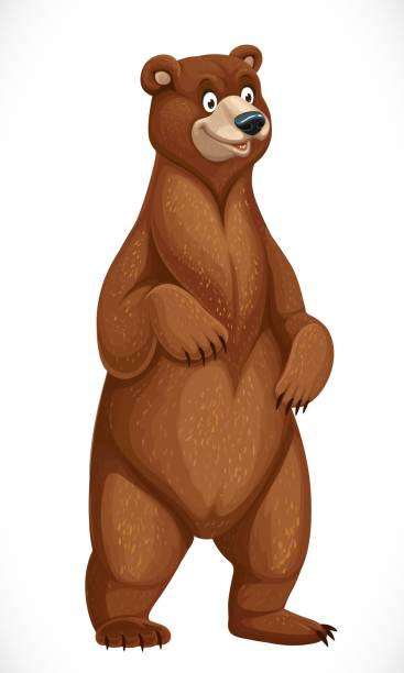 Cute cartoon bear stands on hind legs isolated on white background Cute cartoon bear stands on hind legs isolated on white background brown bear stock illustrations