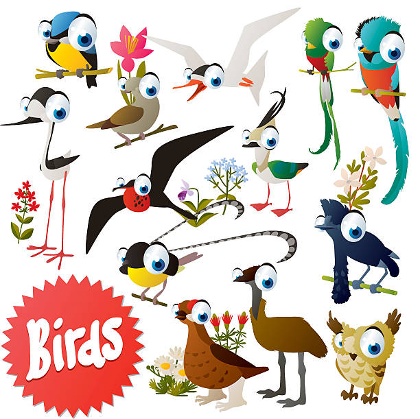 ilustrações de stock, clip art, desenhos animados e ícones de fofo urso de aves - grouse flying