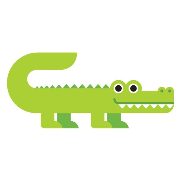 Cute cartoon crocodile Cute cartoon crocodile in modern geometric flat vector style. Simple and adorable smiling alligator illustration. alligator stock illustrations
