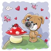 Cute cartoon Dog with a camera on the meadow