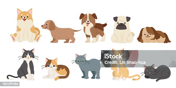 istock cute cartoon dogs and cats 1161291186